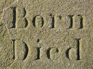 born-1264699_1280