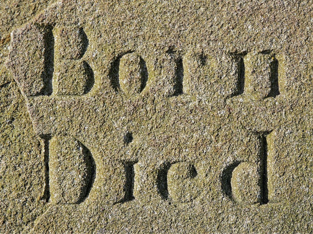 born-1264699_1280