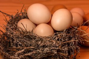 nest-1050964_1280