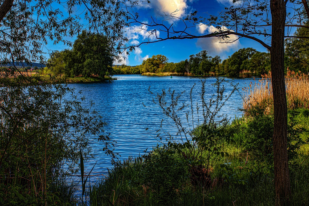 havel-5951488_1280