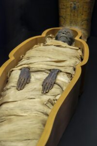 mummy-2796707_1280