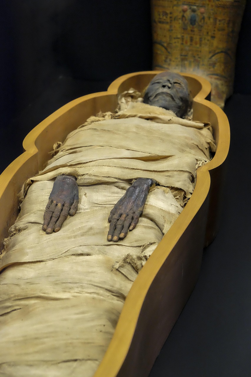 mummy-2796707_1280